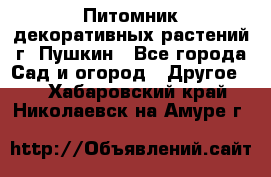 Питомник декоративных растений г. Пушкин - Все города Сад и огород » Другое   . Хабаровский край,Николаевск-на-Амуре г.